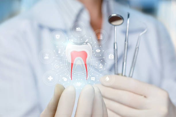Best Periodontal (Gum) Disease Treatment  in Port Richey, FL